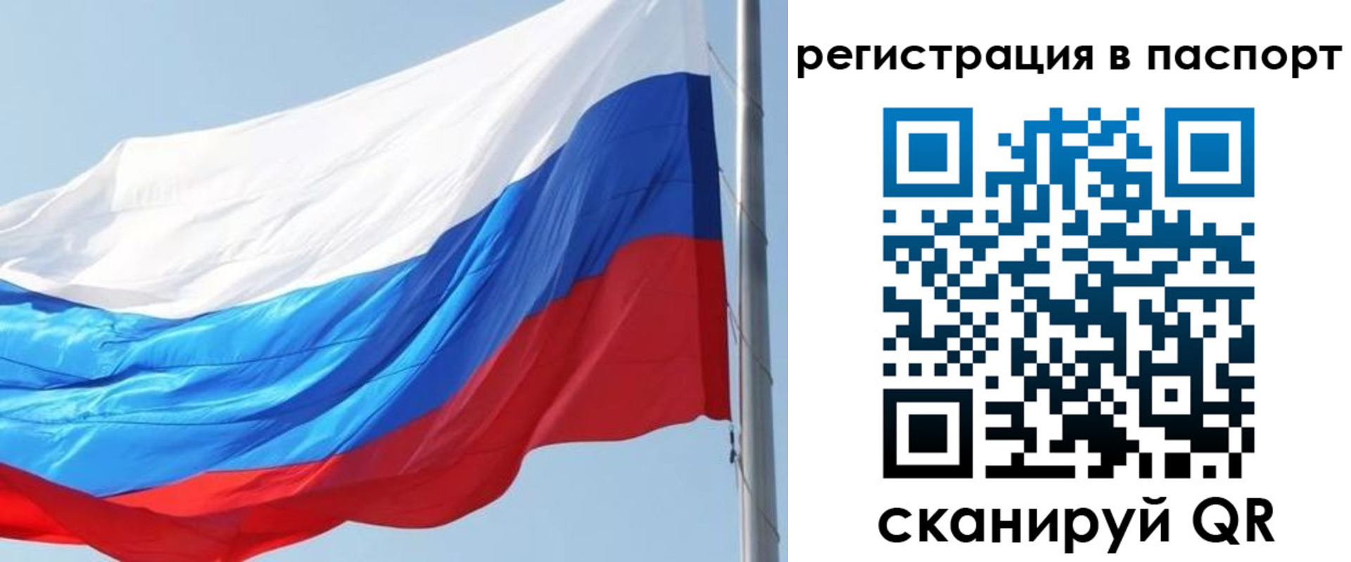 прописка законно в Торопеце